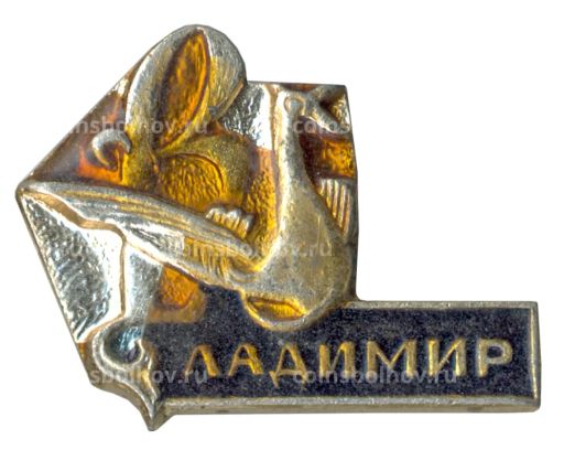 Значок Владимир