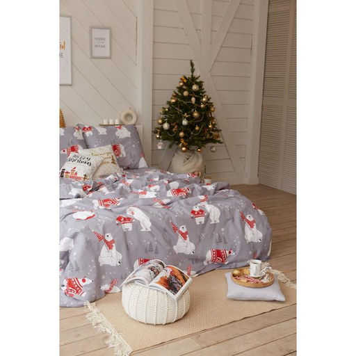 Постельное бельё евро Этель. Зимние игры, поплин