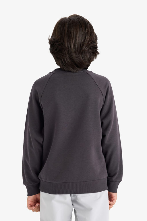 Bisiklet Yaka Basic D_z Okul Sweatshirt Erkek _ocuk - Defacto фото 6