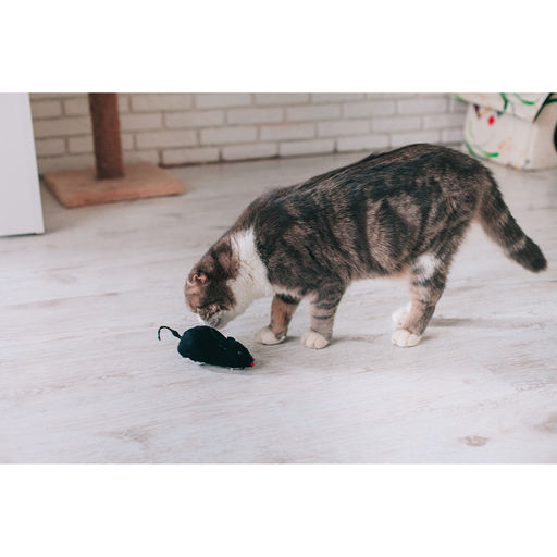 Мышь заводная меховая, 12 см, чёрная - Пижон фото 6