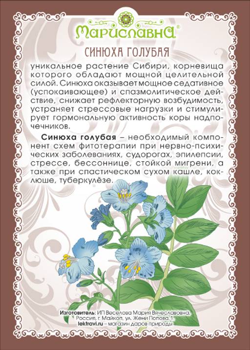 Синюха полевая. Цветок синюха голубая. Синюха голубая. Синюха голубая бутон. Синюха голубая лекарственное растение.