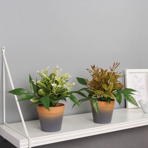 Искусственный цветок в горшке Птицемлечник, 8.5?18 см, МИКС