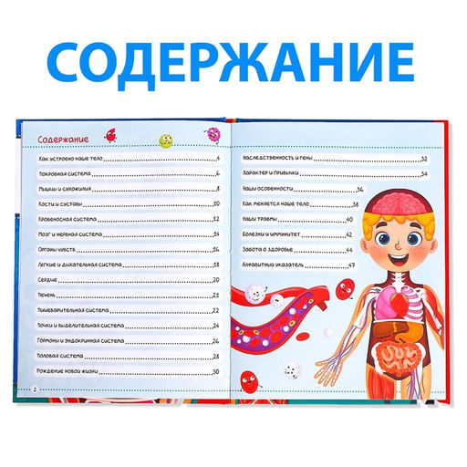 Энциклопедия в твёрдом переплёте Тело человека, 48 стр. - Буква-ленд фото 3