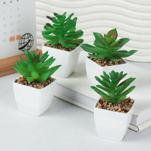 Цветочная композиция Кактус / WER-19 /уп 12/192/ микс - Галеонтрейд фото 9