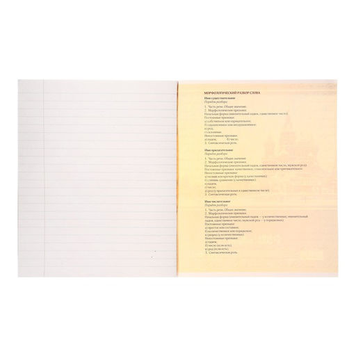 Тетрадь предметная Металл, 48 листов в линейку Русский язык со справочным материалом, обложка мелованный картон, блок №2, белизна 75% (серые листы) - Calligrata фото 3