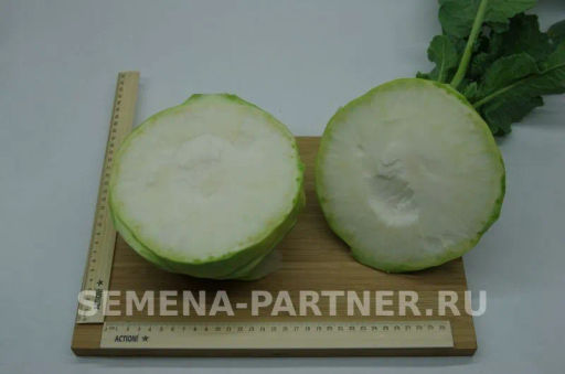 Капуста кольраби Гигант - Партнер фото 6