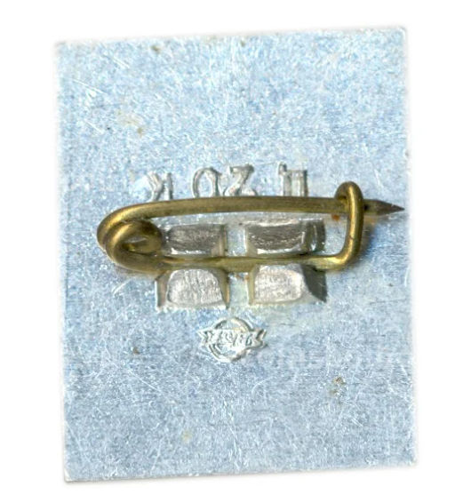 Значок Рига