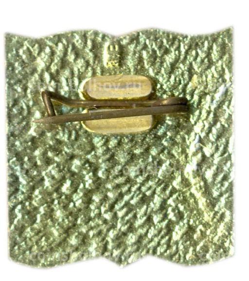 Значок Профсоюз работников просвещения высшей школы и научных учреждений СССР