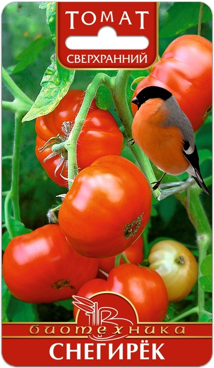 Томат Снегирёк