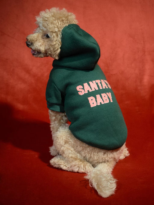 Худи для питомца с принтом / Zarina