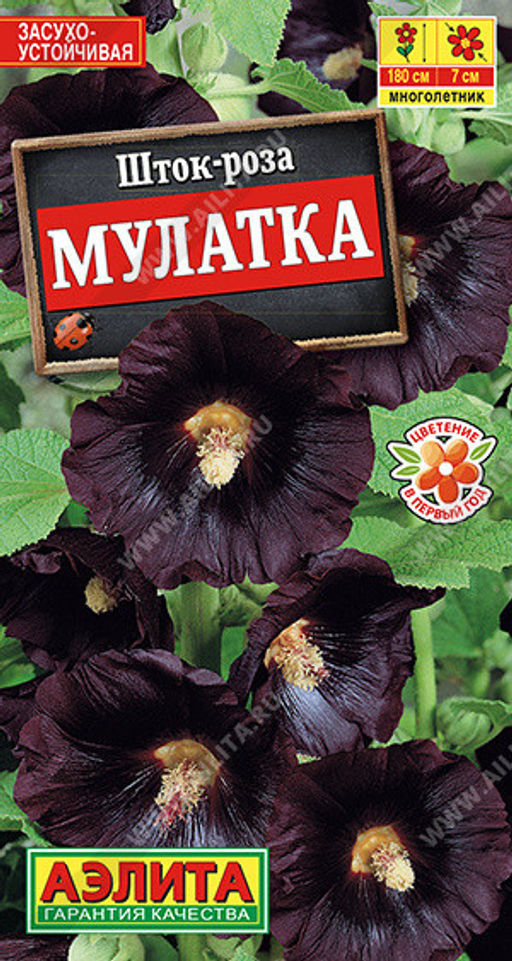 1944A Шток-роза Мулатка 10шт