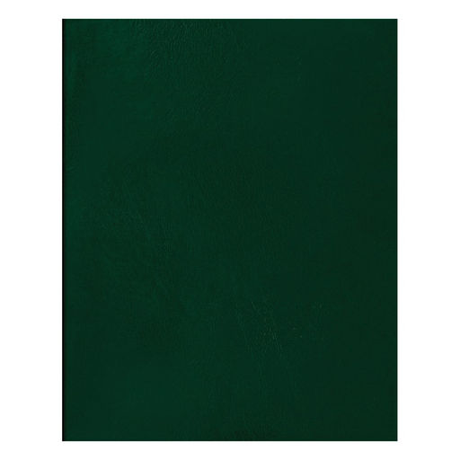 Тетрадь 48л. BG бумвинил, клетка (Т5бв48к_12309) зеленая