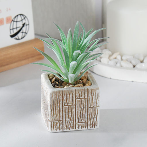 Цветочная композиция Кактус / WER-15 /уп 12/288/ микс - Галеонтрейд фото 8