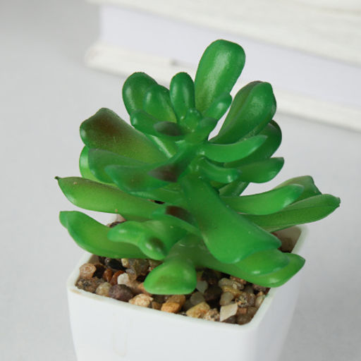 Цветочная композиция Кактус / WER-19 /уп 12/192/ микс - Галеонтрейд фото 25