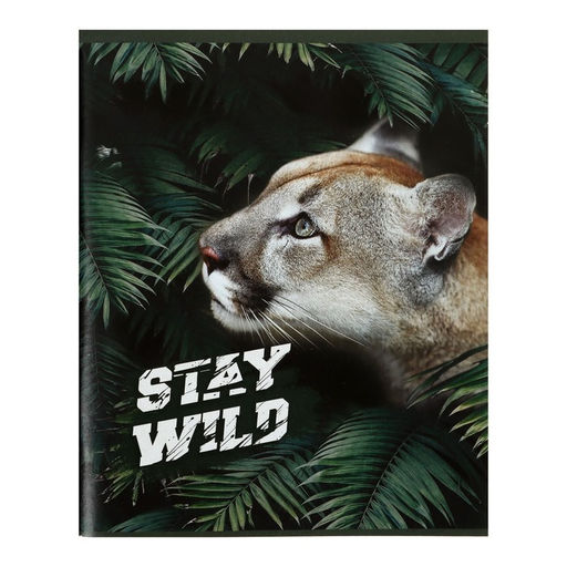 Набор тетрадей 96 листов в клетку Calligrata «Хищники», обложка мелованный картон, блок офсет, 4 шт.