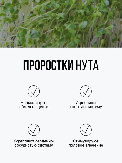 Смесь из ПЯТИ видов проростков БЕЗ ГЛЮТЕНА 150г (зеленая гречка, чечевица, нут, кукуруза, фасоль) (5