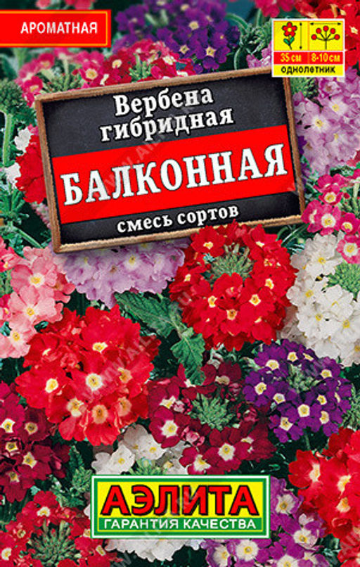 1119L Вербена Балконная, смесь сортов 40шт