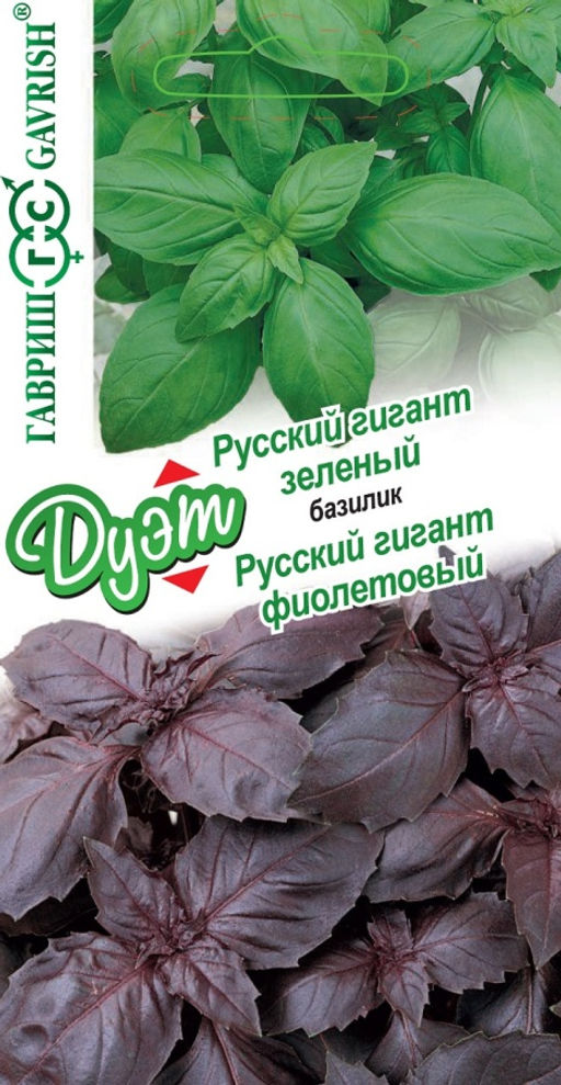 Базилик Русский гигант зеленый 0,1г + Русский гигант фиолетовый 0,1г (Гавриш)
