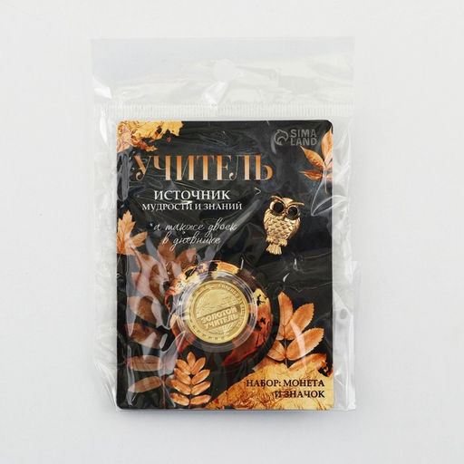Набор монета и значок Учитель, 7.5 х 10 см - Семейные традиции фото 8