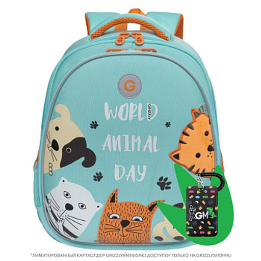 RAz-086-14 new Рюкзак школьный