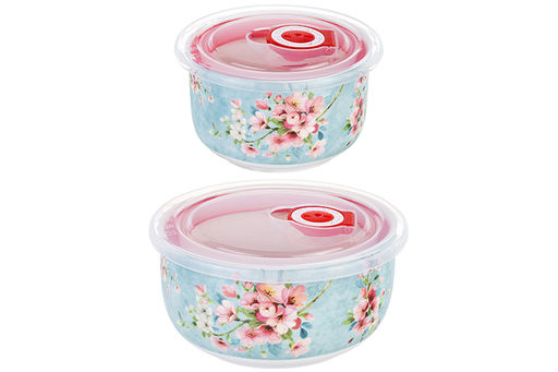 Набор 2 салатников 560 мл 13*13*6,5 см + 260 мл 10,5*10,5*6 см Яблоневый цвет на голубом без зол.к - Elan gallery фото 5