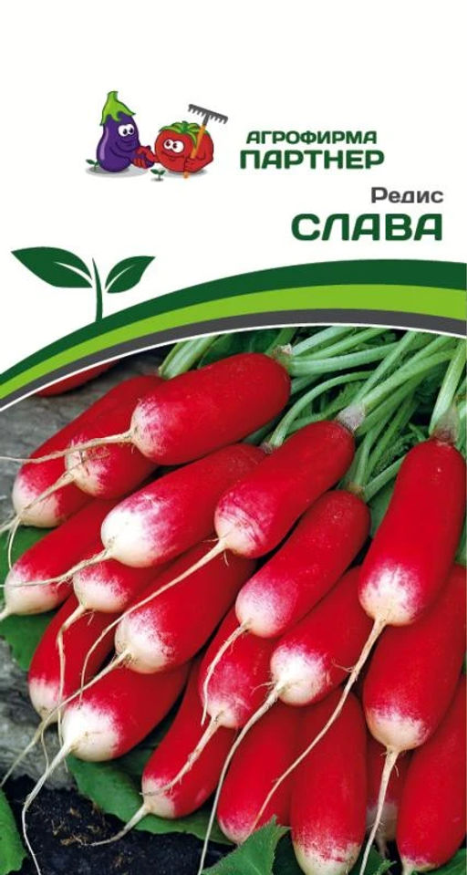 Редис Слава - Партнер фото 2