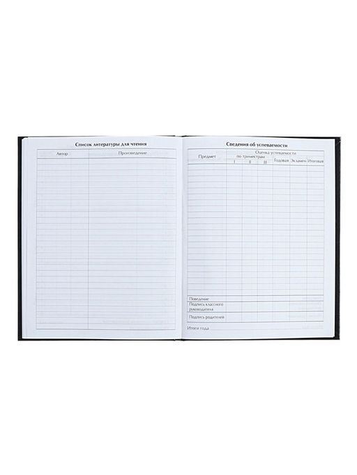 Цена за 2 шт. Дневник универсальный для 1-11 классов «Аноним», твёрдая обложка, глянцевая ламинация, 40 листов