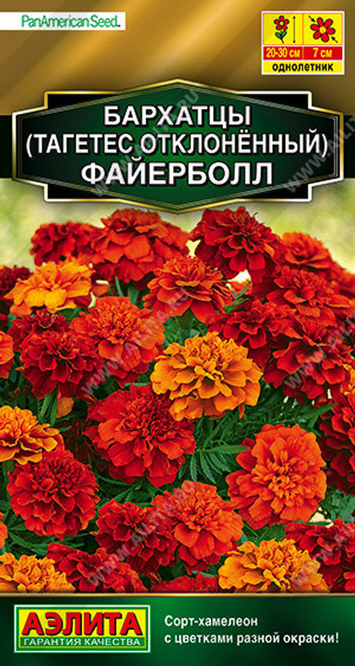 1282A Бархатцы Файерболл отклоненные 5шт