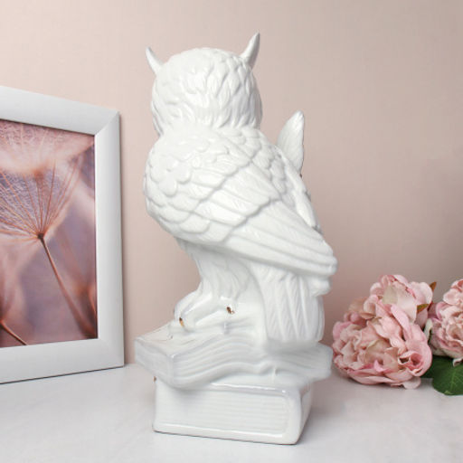 Статуэтка Сова на книгах 28 см / W3356 /уп 18/белая - ГалеонТрейд фото 3