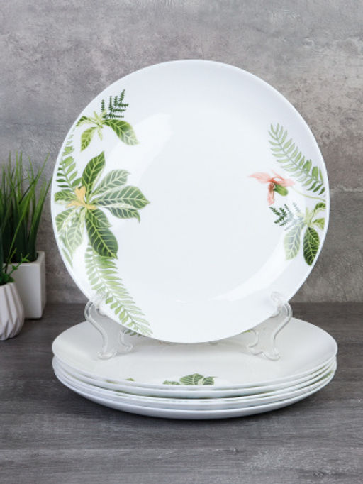 Набор тарелок 6 штук 240 мм Евро / 30/LGW67595 (6750) /уп 6/ Тропики - Галеонтрейд фото 2