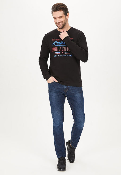 Свитшот мужской GREG G121-Aviator (чёрный)  фото 4