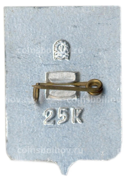 Значок Чебоксары