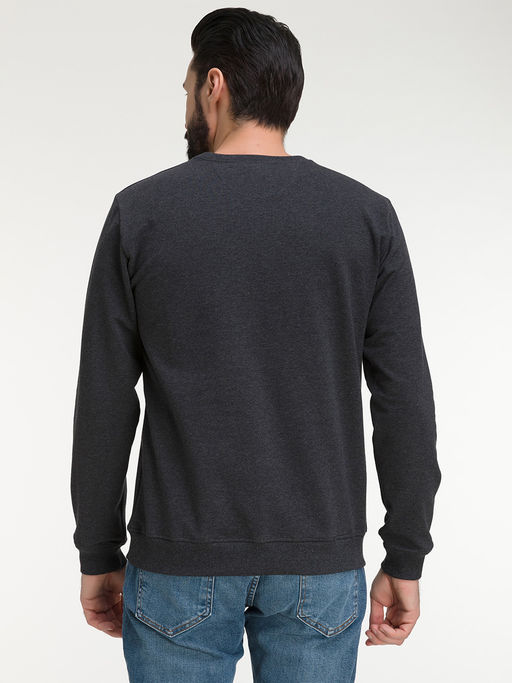 Свитшот мужской GREG G121-OZ02-30 (антрацит м.)  фото 6