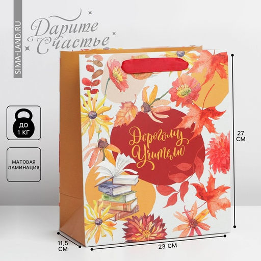 Цена за 2 шт. Пакет подарочный ламинированный, упаковка, «Дорогому учителю», ML 27×23×11.5 см