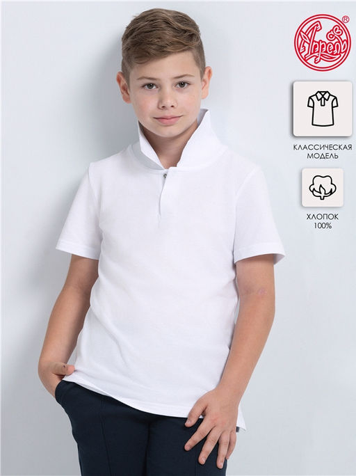 Футболка-поло 1ПДК1530090