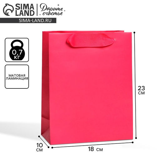 Цена за 2 шт. Пакет подарочный ламинированный, упаковка, «Фуксия», MS 18×23×10 см
