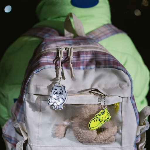 Цена за 6 шт. Светоотражающий элемент «Сова», двусторонний, 4,2 × 6 см, цвет МИКС