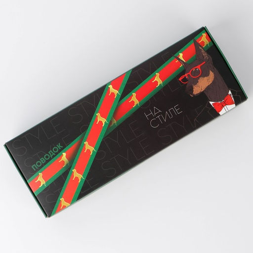 Поводок На стиле, 2.5 см, 1.5 м - Пушистое счастье фото 2