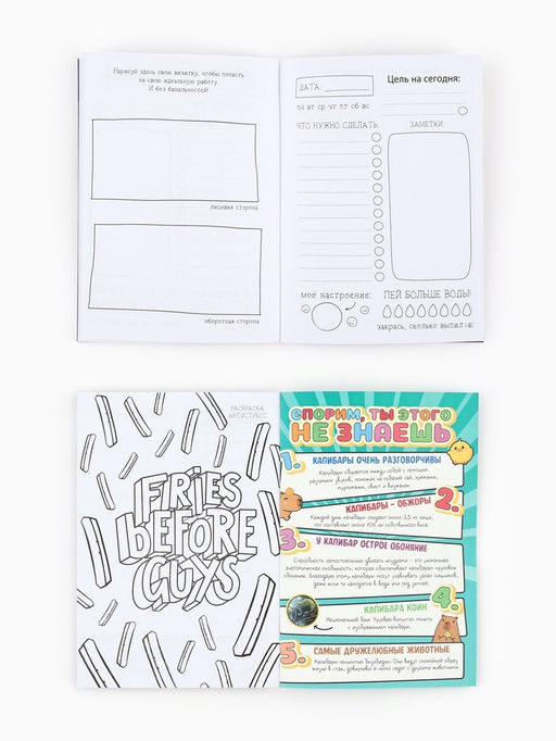 Блокнот творческий с заданиями А6+, 120 листов «Капибара»