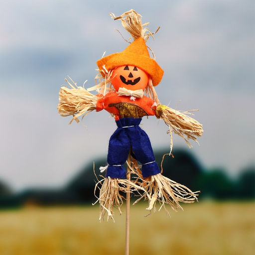 Цена за 2 шт. Огородное пугало Тыква, h=50 см, МИКС, Greengo