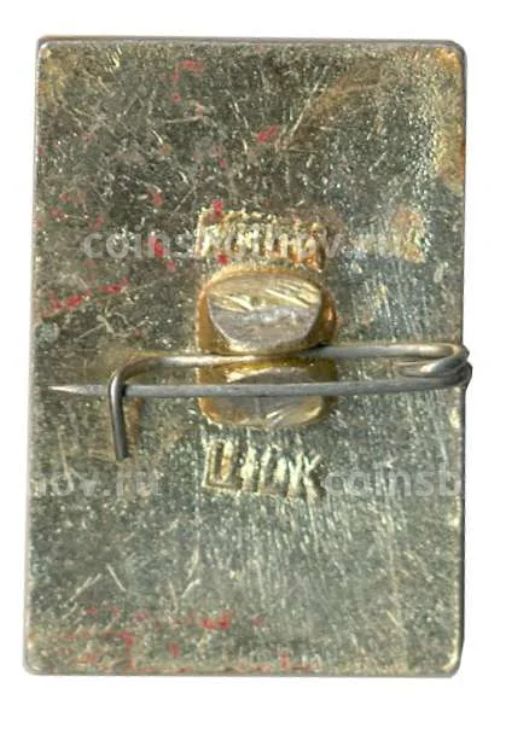 Значок Владимир