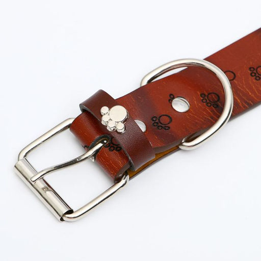 Ошейник с основой из термопластичной резины с тиснением Лапки, 58 х 2,7 см - Пижон фото 4