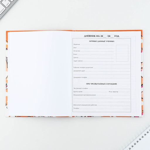 Дневник школьный 1-11 класс универсальный «Обаятельные корги», твердая обложка 7БЦ, глянцевая ламинация, 40 листов