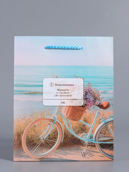 Пакет подарочный ламинированный «Путь к мечте», 18×22.3×10 см