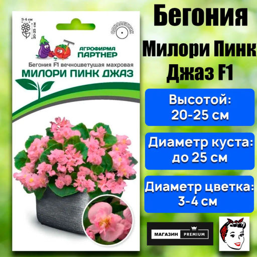 Бегония вечноцветущая махровая Милори Пинк Джаз - Партнер фото 2