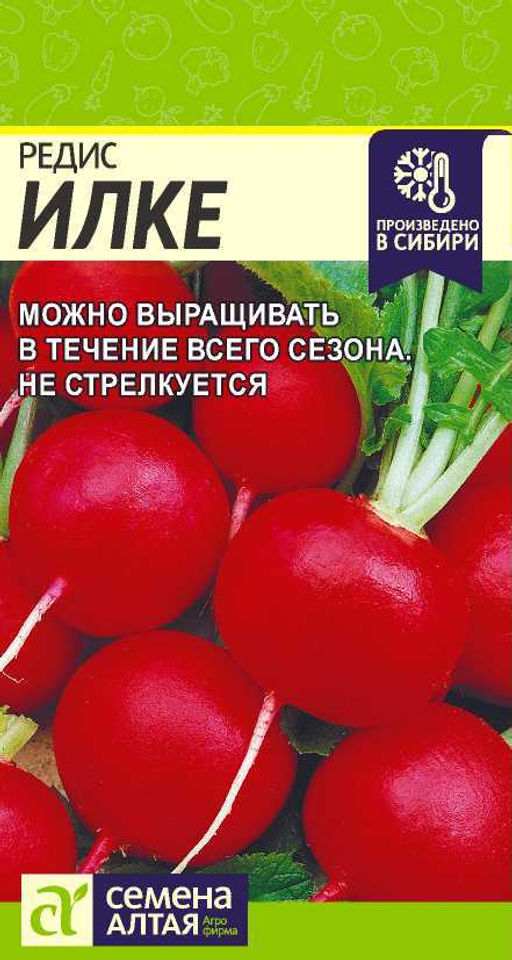 Редис Илке/Сем Алт/цп 2 гр.