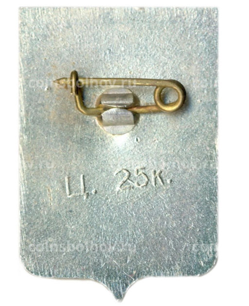 Значок Старая Русса