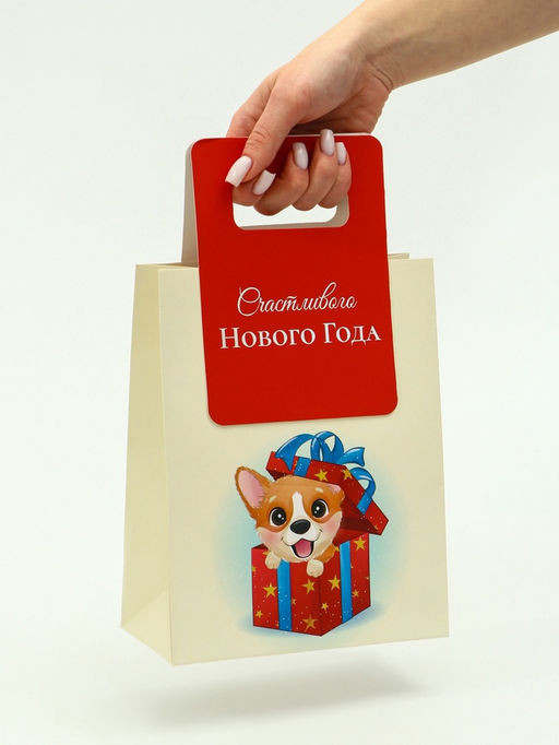 Цена за 2 шт. Пакет подарочный с вырубной ручкой «Лучший подарок»18×23×9 см, красный