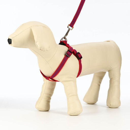 Комплект амуниции рельефный, поводок 120 х 1,5 см, ОГ 36-49 см, красно-синий - Пижон фото 2