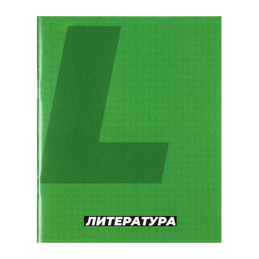 Набор предметных тетрадей Calligrata. MonoTone, 10 предметов, 36 листов, со справочным материалом, серые листы, обложка из мелованной бумаги